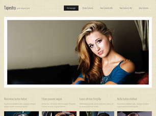 Tapestry Free Website Template