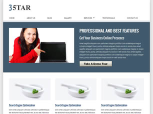 3Star Free Website Template
