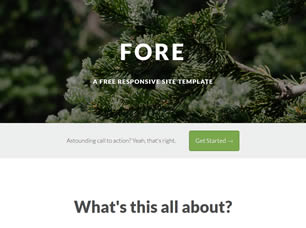 Fore Free CSS Template