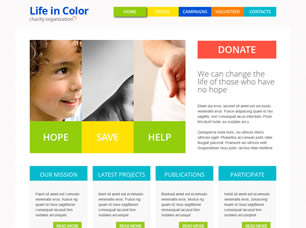 Life In Color Free Website Template