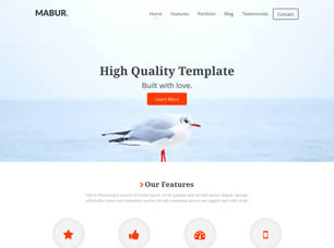 Mabur Free Website Template