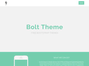 Bolt Free Website Template