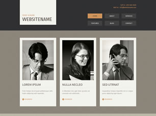 HTML 14 Free CSS Template