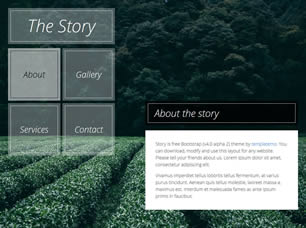 The Story Free Website Template