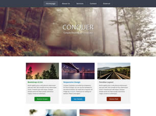Conquer Free Website Template