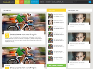 ColorMag Free Website Template