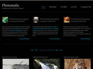 Photomatic Free Website Template