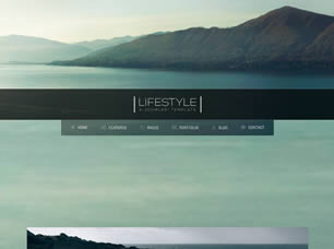 Lifestyle Free Website Template