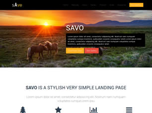 SAVO Free CSS Template