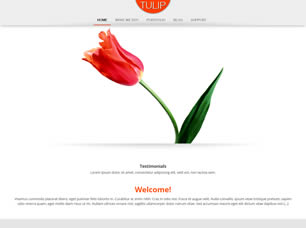 Tulip Free Website Template