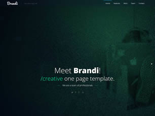 Brandi Free Website Template
