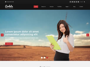 Corlate Free CSS Template