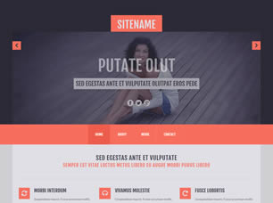 RS HTML 111 Free Website Template