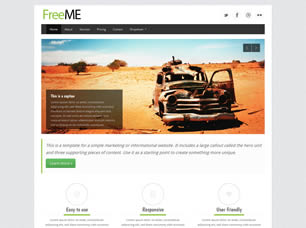FreeMe Free Website Template