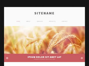 RS HTML 117 Free Website Template
