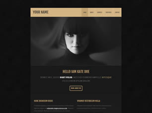 RS HTML 120 Free Website Template