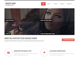 RS HTML 124 Free Website Template