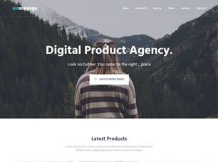 Aironepage Free Website Template
