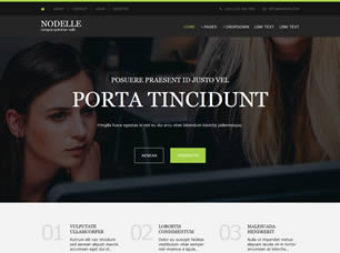 Nodelle Free CSS Template