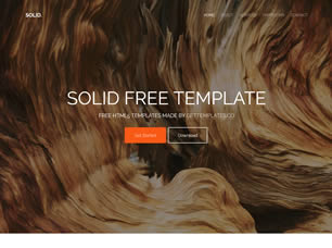 Solid Free CSS Template