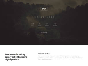 Orly Free Website Template