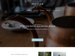 Penyler Free Website Template