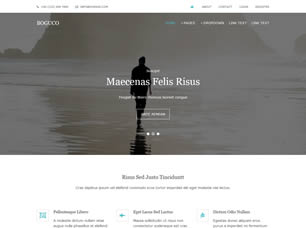 Boguco Free CSS Template