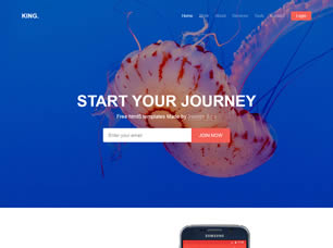 King Free Website Template
