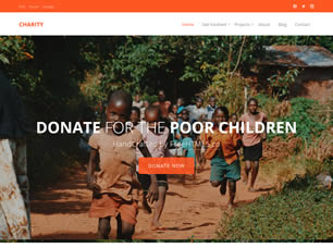 Charity Free Website Template