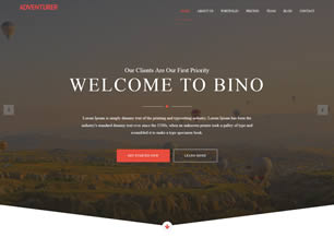 Bino Free Website Template