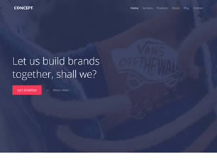 Concept Free Website Template