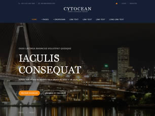 Cytocean Free Website Template
