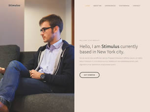 Stimulus Free Website Template