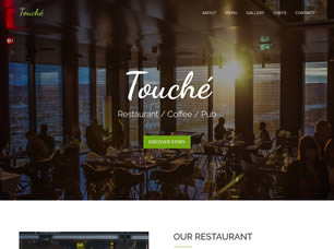 Touche Free CSS Template