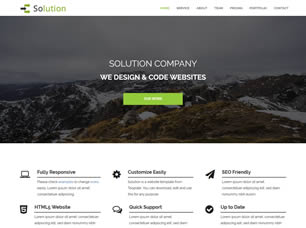 Solution Free CSS Template