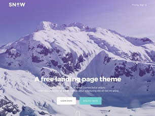 Snow Free Website Template