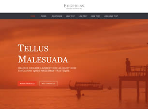 Edgpress Free CSS Template