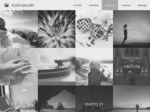 Fluid Gallery Free Website Template Free Css Templates Free Css