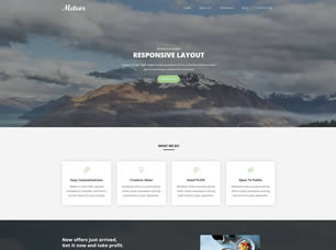 Meteor Free CSS Template