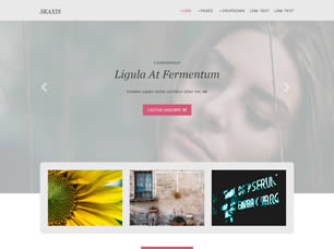 Skaxis Free CSS Template