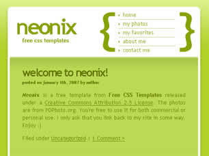 Neonix Free Website Template