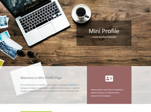 Mini Profile Free CSS Template