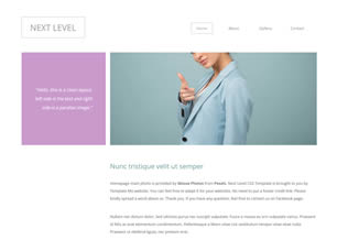 Next Level Free CSS Template