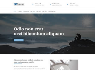 Shicso Free Website Template