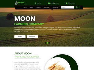 Moon Free Website Template