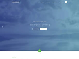 Breezed Free Website Template