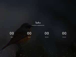 Indus Free CSS Template