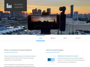 Business Oriented Free Website Template
