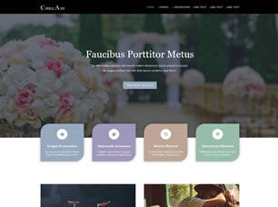 ChillAid Free Website Template