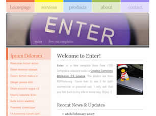 Enter Free Website Template